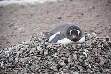 肉鸽清版动作游戏《英勇无厌》发售 国区售价76元